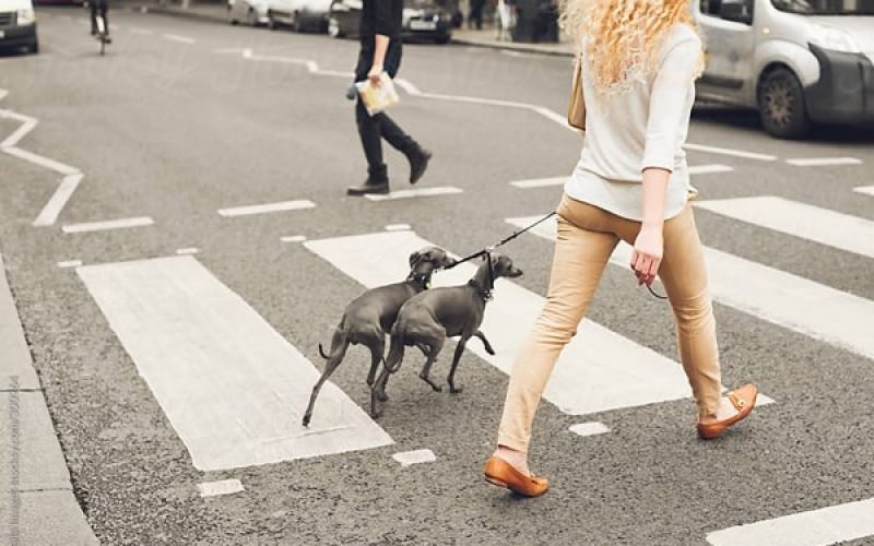 Very Walkable Very Walkable